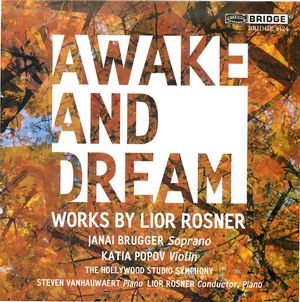 Awake and Dream: Works By Lior Rosner
