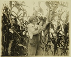 Photograph of Woman Checking Corn Crop
