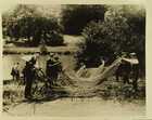 Photograph of men cleaning a fishing net, Windsor Great Park at Virginia Water