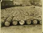 Photograph of barrels at a fruit-pulping station
