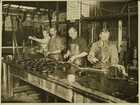 Photograph of black pudding being made in a factory