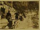 Dog Carts Take Water to the Italian Soldiers at the Front