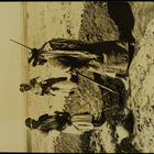 Photograph of Digging an Irrigation Ditch, Upper Mesopotamia