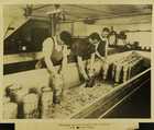 Photograph of factory workers making cheese