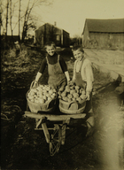 Photograph of Boys with Baskets of Potatoes