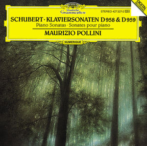 Piano Sonatas D. 958 & D. 959