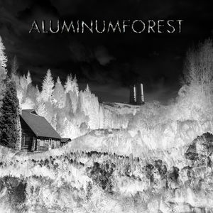 Aluminum Forest