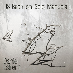 JS Bach on Solo Mandola