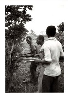 Black and White Photograph of three men trimming a tree