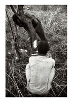 Black and White photograph of two men chopping down a tree