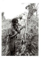 Black and White photograph: Cutting the pole for the Ihamba shrine of huntsmanship, 1985