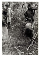 Black and White photograph: Cutting the pole for the Ihamba shrine of huntsmanship