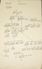 Family Tree and Hierarchy for the Mawawa District, 1942