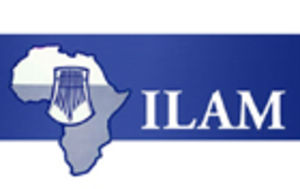 Itlanganiso ya magqika ye Izangoma (III) (Track) Itlanganiso ya magqika ye Izangoma (III) (Track)