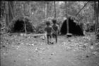 Two children walking towards some dome-shaped shelters in a clearing in the forest.