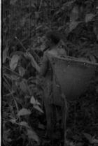 A woman with a large conical-shaped basket on the back holding a stick and looking into forest vegetation.