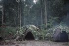 Two dome-shaped shelters at the edge of a clearing in the forest.