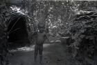 A child, Mekita, stood outside two dome-shaped shelters in the forest and looking at the camera.
