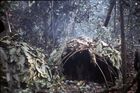An unidentified man sat under a dome-shaped shelter in the forest.