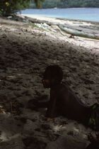 1993.6.2.1685: (Process date July 78) Jameson, with special hairdo, lying on sand at Desiree's beach, Porton