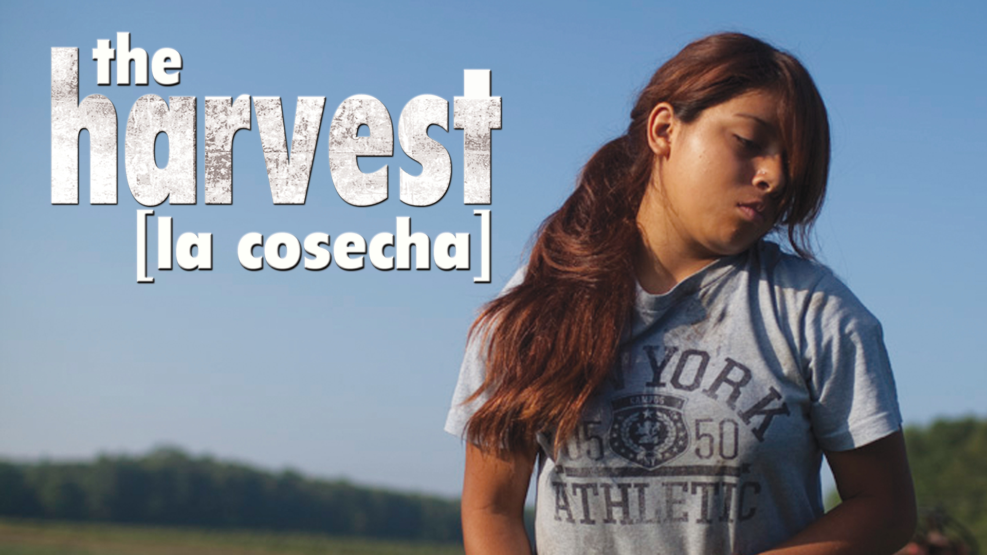 The Harvest ~ La Cosecha : a documentary