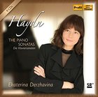 The Piano Sonatas (CD 5-9)