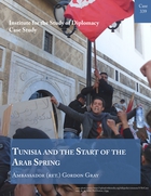 Tunisia and the Start of the Arab Spring