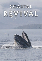 Coastal Revival, Revival Of The Humpback Whales