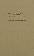 Modern Intellectual and Political History of the Middle East, Class and Labor in Iran: Did the Revolution Matter?