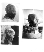 Note with Photographs from American Museum of National History, Department of Anthropology, New York, Re: Head of Woman Cliff Dweller Mummy, 1903