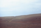 Dasht-I Leili Desert, Turkestan Photo