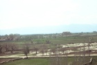 Balkh, Fields Photo