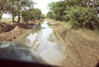 Aqcha Area Road, Spring Flooding Photo