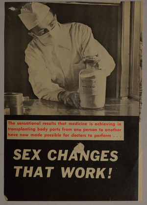 Sex Changes That Work! Sex Changes That Work!
