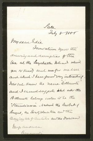Letter from Alfred W. Howitt to Edith Thompson, February 8, 1888 Letter from Alfred W. Howitt to Edith Thompson, February 8, 1888