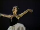 Spirit of Dance, The Spirit of Dance, Ethnic Dance Arts: Performance Excerpts