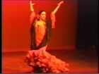 Spirit of Dance, Amaya, Flamenco Sin Limites