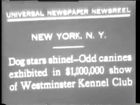 Universal Newsreels, Release 14, February 12, 1931