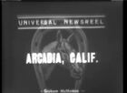 Universal Newsreels, Release 746, February 15, 1939