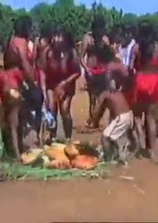 Video Cannibalism - Alexander Street, a ProQuest Company