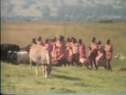 Diary of a Maasai Village, 1, The Prophet's Village