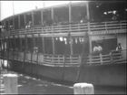 New York at the Turn of the Century, Emigrants Landing at Ellis Island