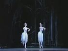 Act II: Big Swans' dance (Tempo di valse)