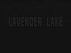 Lavender Lake: Brooklyn's Gowanus Canal