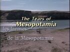The Tears of Mesopotamia