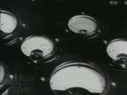March of Time, Volume 12, Episode 13, Atomic Power