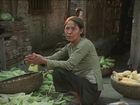 Vietnam: A Television History, Vietnam Interview: Woman in Street