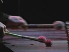 6 Miniatures for Marimba solo