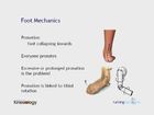Clinical and Biomechanical Assessment of Walking Gait