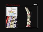 Thoracic Mobility: The Missing Link in Your Trunk Stability Program
